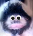 849730523156578365