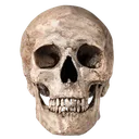 lacalaca