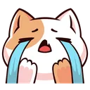 nayuchCatCry