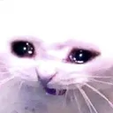 peepee_boy