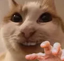 toe