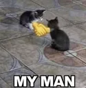 CatMyMan