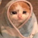 sadcatblanket Discord emoji