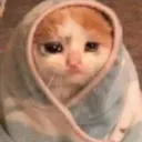 sadcatblanket sadcatblanket
