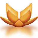 SummerLotus