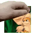 petgabby