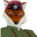 HopOnColliehole