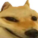 buenokand buenokand