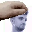 aPetLav