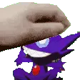 petwesableye