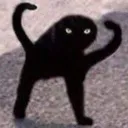 catwtf catwtf