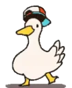 duckdance