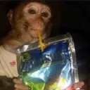 AB_CaprisunMonkey