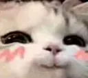 uwukedi