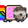 nyancat Discord Emoji