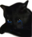 vladutcry