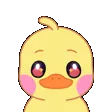LoveDuck