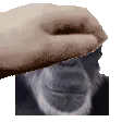 jeffPet
