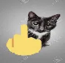 catflippingyouoff