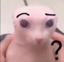 catq