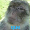 Lcoquemono Discord emoji