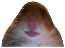 memes_stare_mice Discord emoji