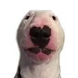 justhe1Walter