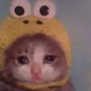 gatitoretriste gatitoretriste
