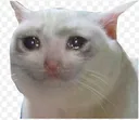 cry2