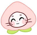 Jiniretpeach