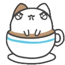 cupcat