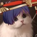 ScaraCat2