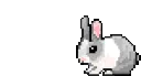 bunny_0Hop bunny_0Hop