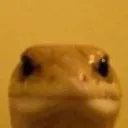 lookin_bruh