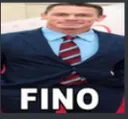 FINO