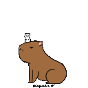 :Capybara: