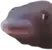 MMMM