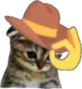 SadCatTip