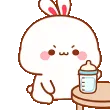 BunnyAngryHit BunnyAngryHit