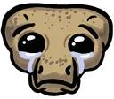 Ciste_sad