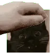 boopat