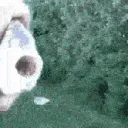rybazabujcza rybazabujcza