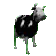 b_cowdance
