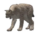 LynxPAIN