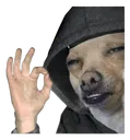 H_okNoice