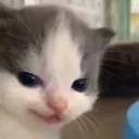 ccsmug