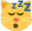 SleepyKat1