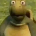 PP4Yshock