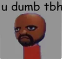 DGuDumbTbh