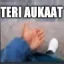 teriaukat